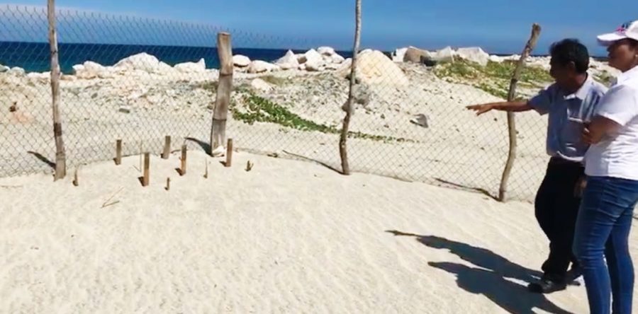 Impulsa Sedesoh acciones interinstitucionales por el medio ambiente