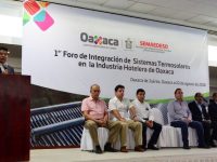 Gobierno de Oaxaca encaminado a crecer en el sector energético: Semaedeso