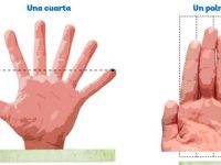 SEP corrige error en libro de primaria