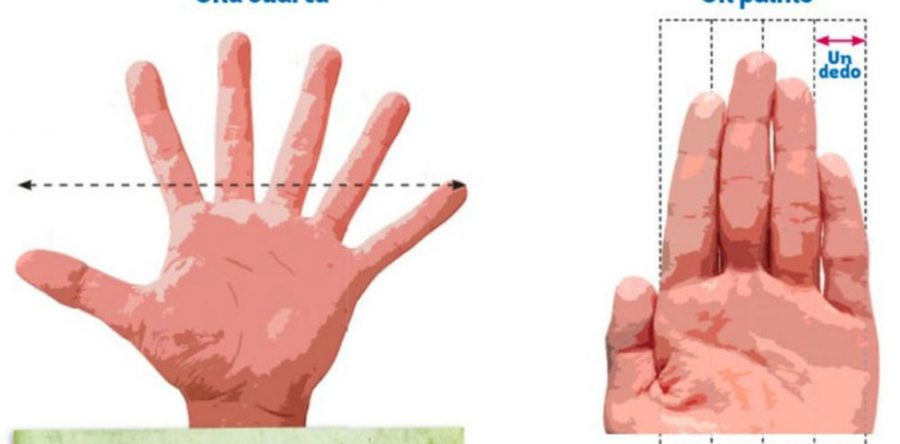 SEP corrige error en libro de primaria