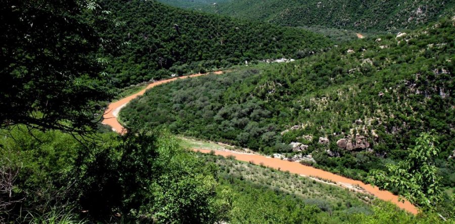 Sonora: cuatro años de maldición minera