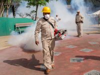 Un lustro en Oaxaca sin paludismo: SSO