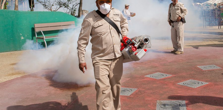 Un lustro en Oaxaca sin paludismo: SSO