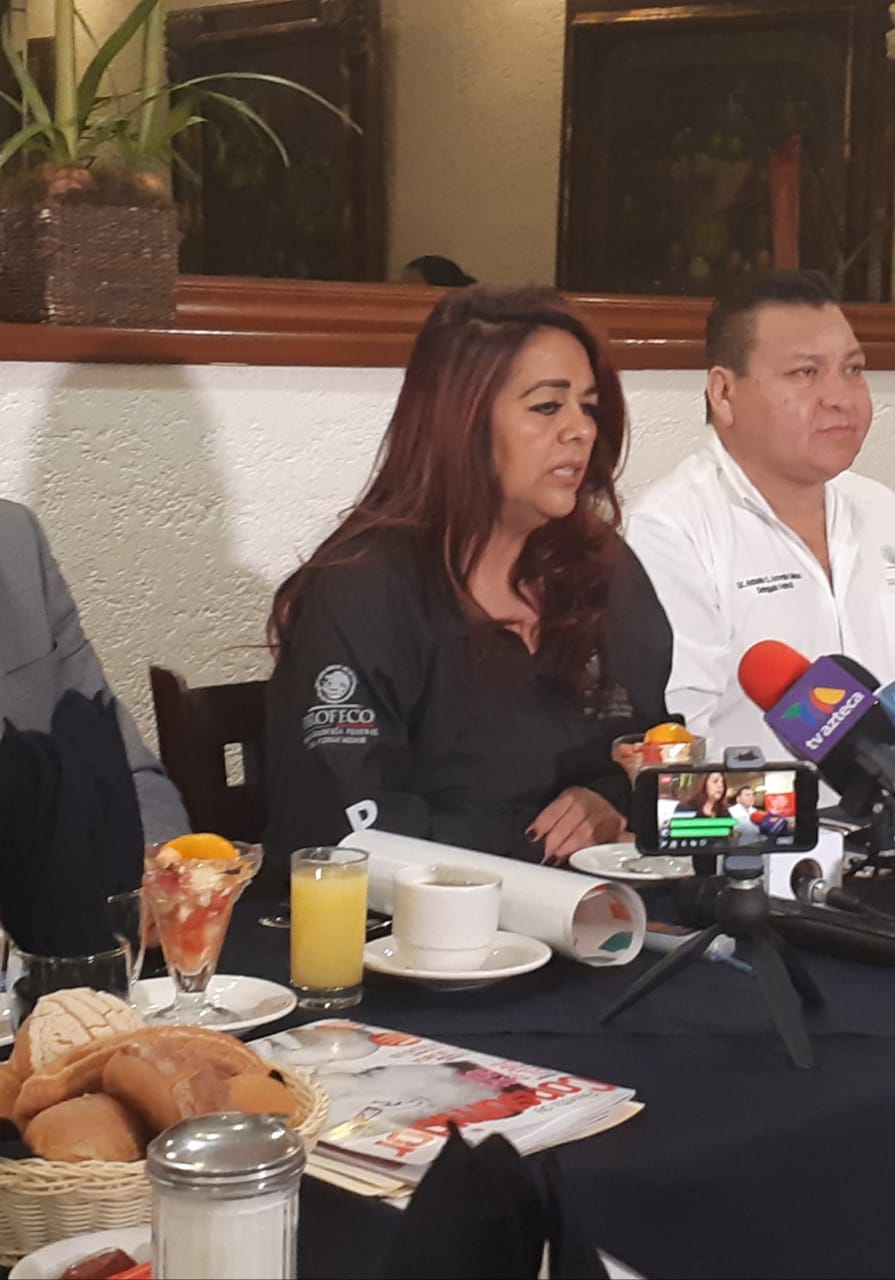 CFE con mayor número de quejas ante Profeco