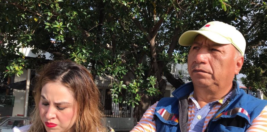 Municipio de Oaxaca de Juárez sustituye palmeras afectadas por el picudo en la zona norte