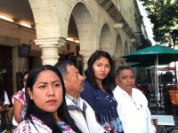 Pide el PUP una diputación plurinominal