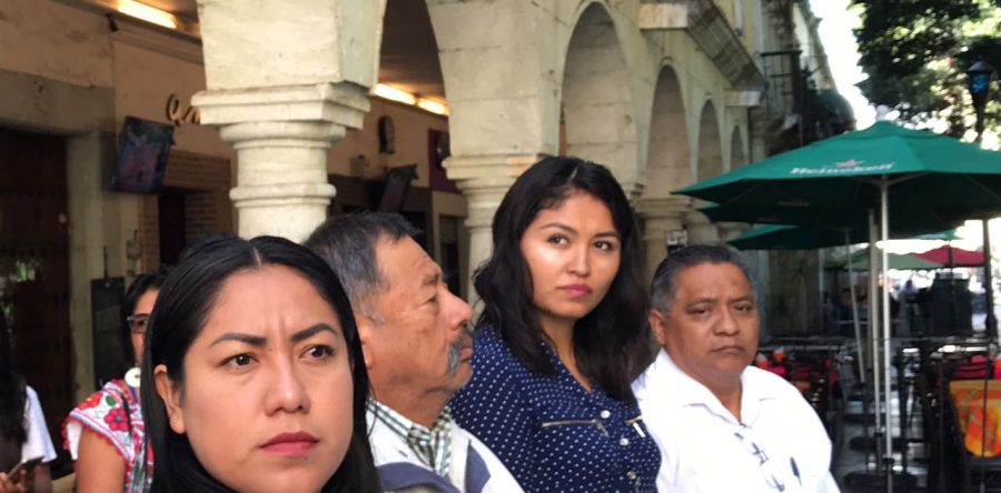 Pide el PUP una diputación plurinominal