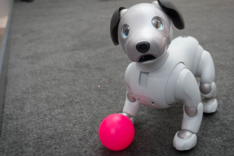 Conozca a Aibo, el primer perro con inteligencia artificial que llegará a los hogares