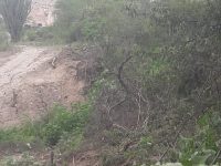 Lo que es la ignorancia con la basura: Horacio Corro Espinosa