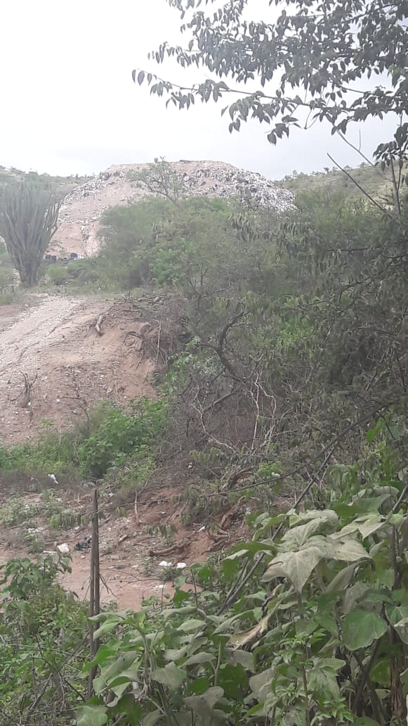 Lo que es la ignorancia con la basura: Horacio Corro Espinosa