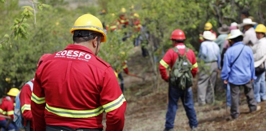 Coesfo, monumento a la corrupción y opacidad en el Gobierno de Alejandro Murat