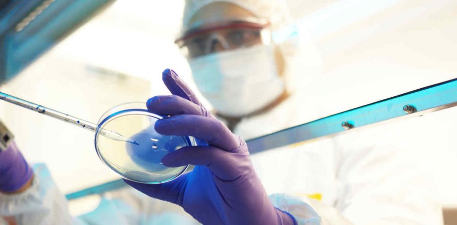 Científicos revelan que una nueva epidemia podría acabar con 900 millones de personas