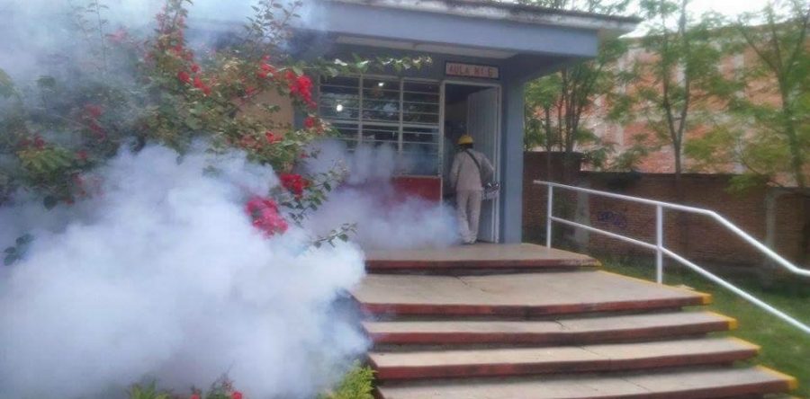 Recomienda IEEPO acciones de prevención del Dengue, Chikungunya y Zika en escuelas
