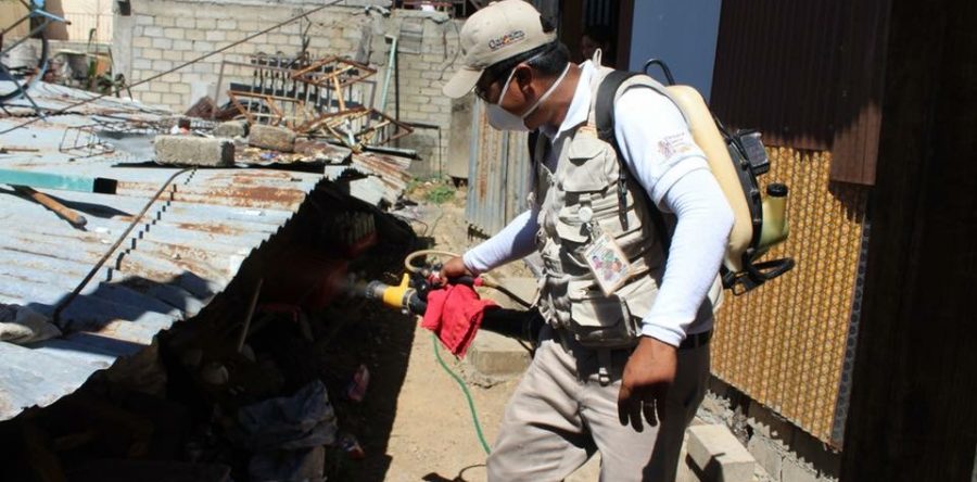 Gobierno de Santa Lucía y Secretaría de Salud trabajan en conjunto para evitar enfermedades transmitidas por vectores