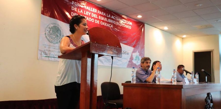 Alistan Diputados actualización de la Ley de Equilibrio Ecológico