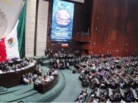 Diputada del PT se une a bancada de Morena