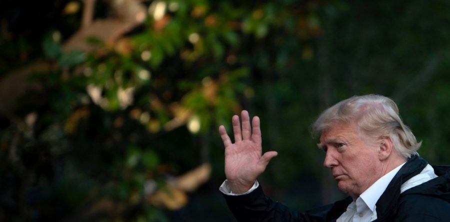 Donald Trump exige a OPEP reducir precios del petróleo