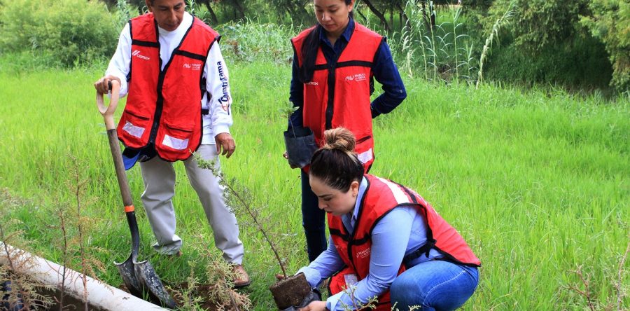 Gobierno Municipal se suma a actividades de reforestación en el Atoyac