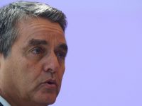 La OMC puede sobrevivir sin EU: director general