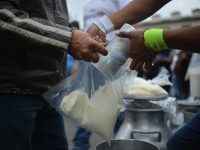 México quedará atado de manos en sector campesino con TLCAN: experto