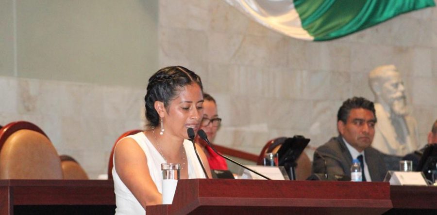 Nuestro compromiso como diputados de Morena es hasta el último día de la Legislatura: Paola Gutiérrez