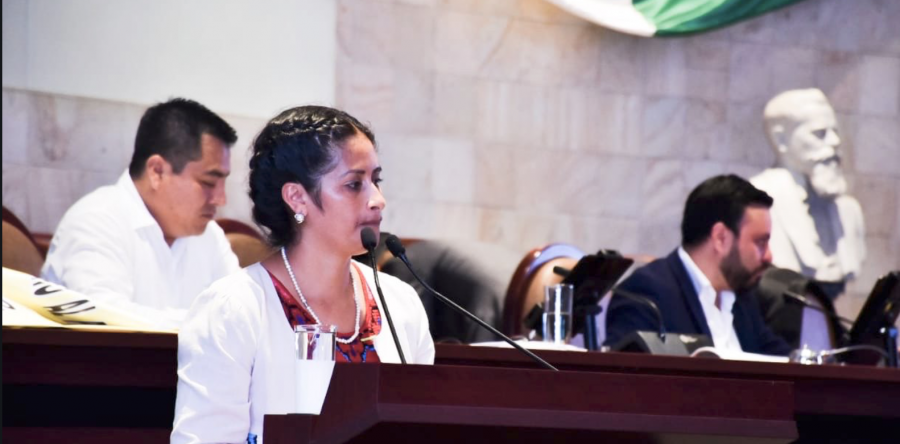 Ley del Equilibrio Ecológico, un logro para Oaxaca y la defensa del medio ambiente: Paola Gutiérrez