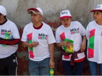 Presenta Morena iniciativa para impedir que partidos usen los colores de la bandera