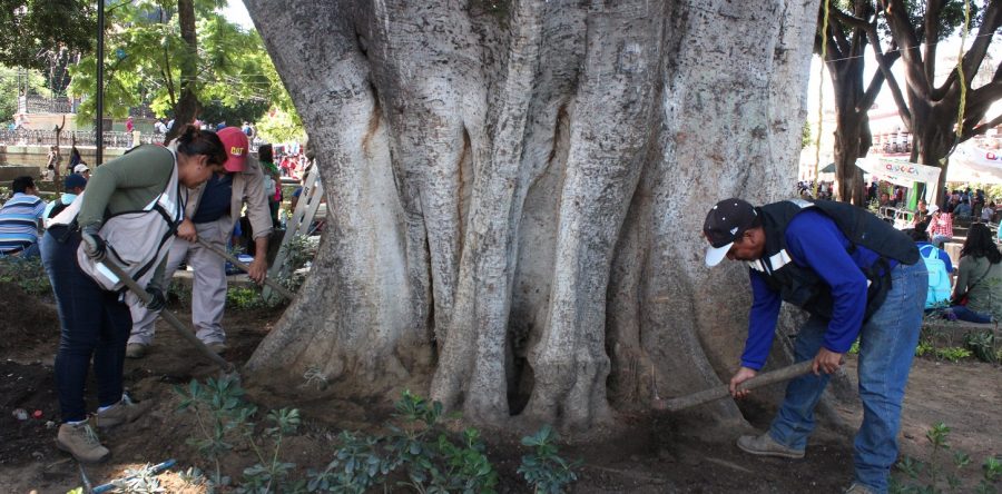 Inicia Municipio Capitalino acciones de saneamiento a Laurel del zócalo