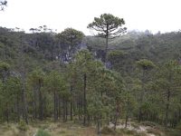 Promover el ecoturismo sustentable, clave para impactar la Agenda 2030: Sedesoh