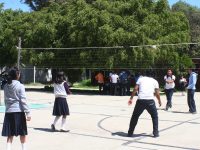 Trabajar juntos para la prevención del suicidio: SSO