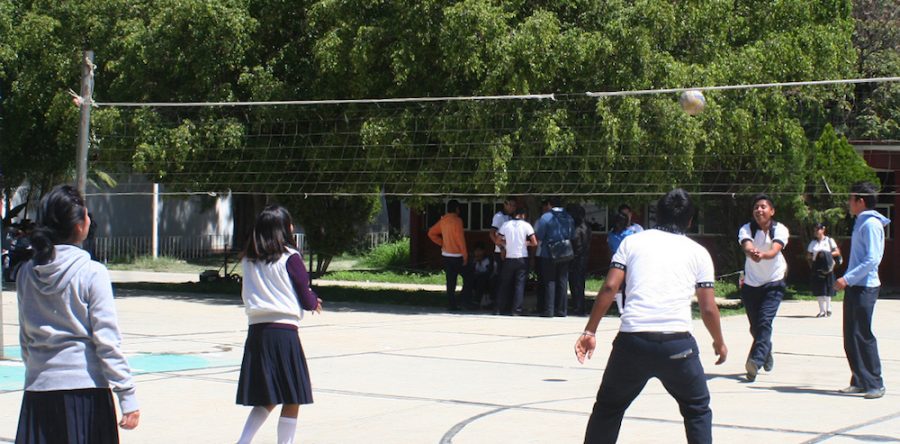 Trabajar juntos para la prevención del suicidio: SSO