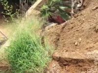 Abandonan autoridades a Escuela Primaria Paul Percy Harris; no existen trabajos de reconstrucción