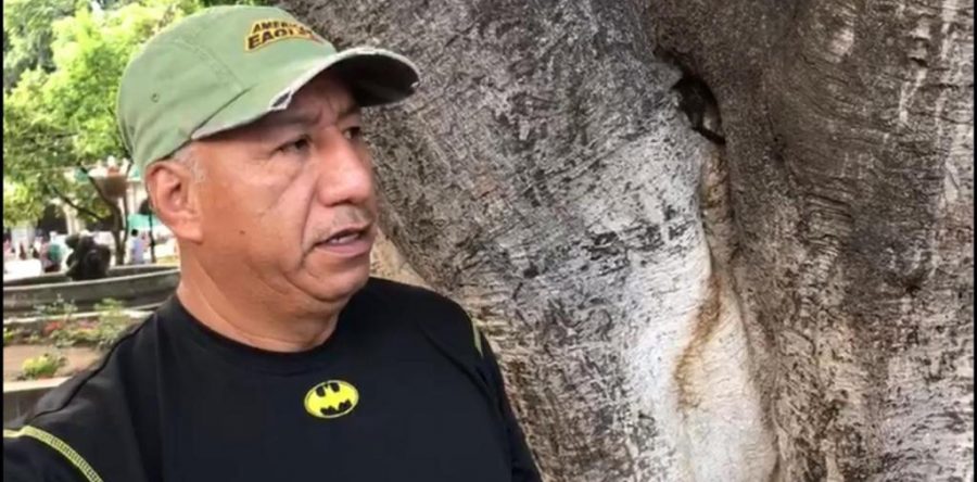 Ambientalistas piden acciones para el cuidado del arbolado en el zócalo