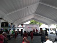 Inicia el XIII Congreso Nacional de Danzón Oaxaca