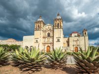 Mezcal, profundamente oaxaqueño: Francisco Ángel Maldonado Martínez
