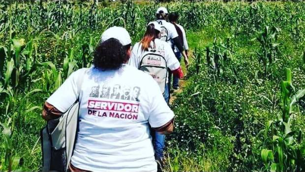 Así identificarás a los “Servidores de la Nación” de AMLO