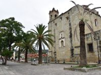 Con la participación de todos resulta un éxito el primer miércoles sin comercio en la vía pública: Hernández Fraguas