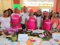 DIF Estatal Oaxaca entrega apoyos en el municipio de Santiago Yolomécatl