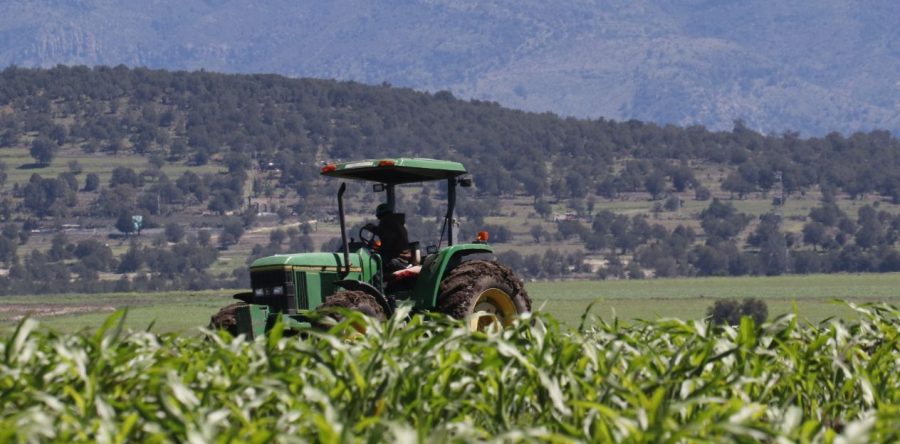 Estos serán los precios de garantía para los productos agroalimentarios