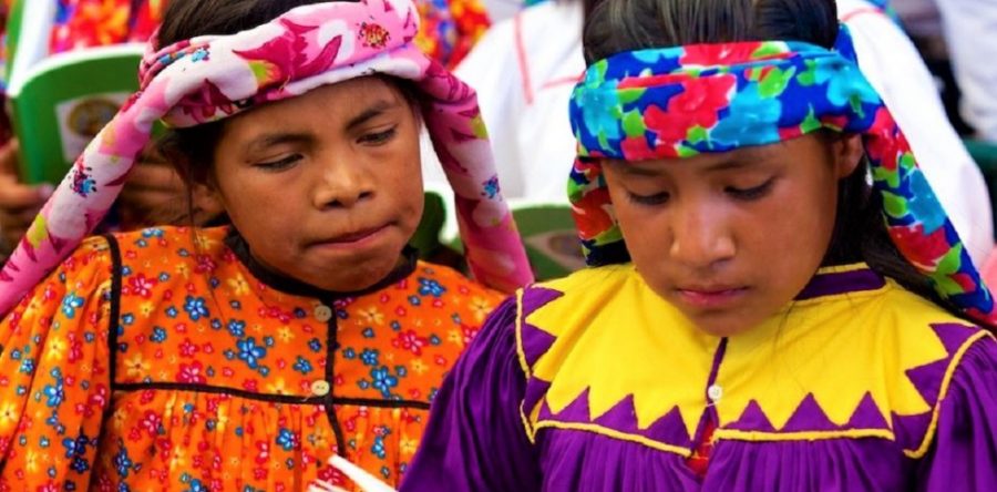 Expertos pedirán a AMLO por lenguas indígenas del país