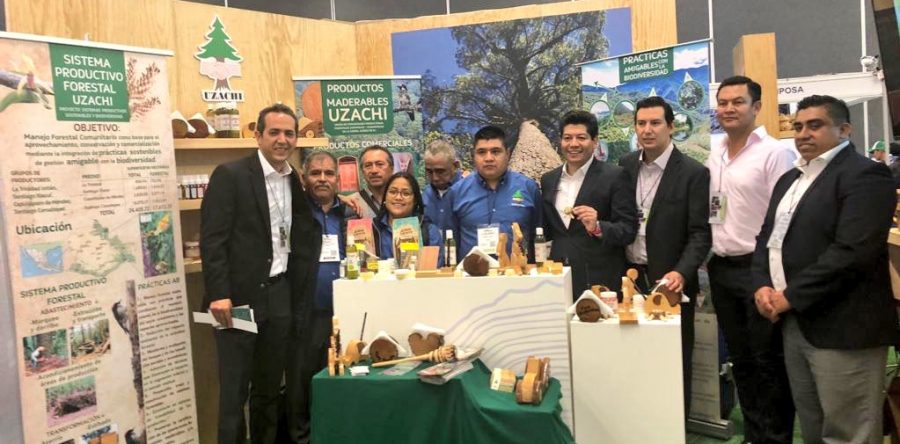 11 empresas madereras de la Sierra Norte, presentes en la Expo Forestal 2018