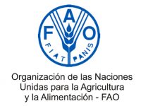 El hambre, la tragedia y el espectáculo: Luis Octavio Murat