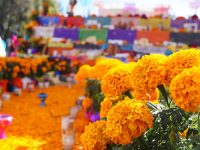 Días de muertos: Horacio Corro Espinosa