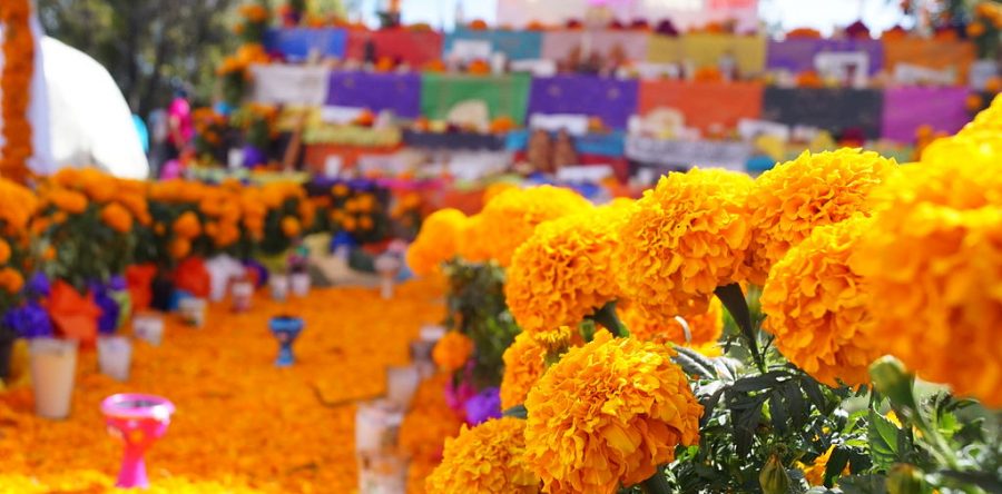 Días de muertos: Horacio Corro Espinosa