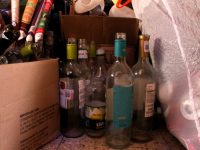 Intercambian materiales reciclables por árboles frutales