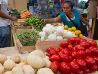 Inflación desacelera en la primera quincena de octubre