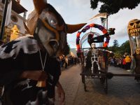 En unidad y armonía, oaxaqueños anuncian celebración del Día de Muertos