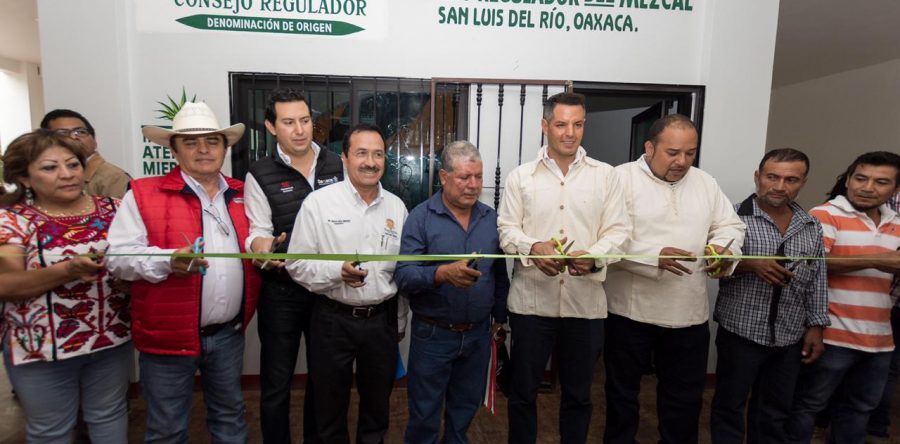 Mi defensa por el mezcal oaxaqueño es total: Alejandro Murat