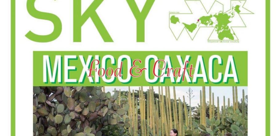 Cautivan atractivos de Oaxaca en la revista japonesa PaperSky