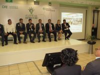 Inversiones históricas en energías limpias para Oaxaca